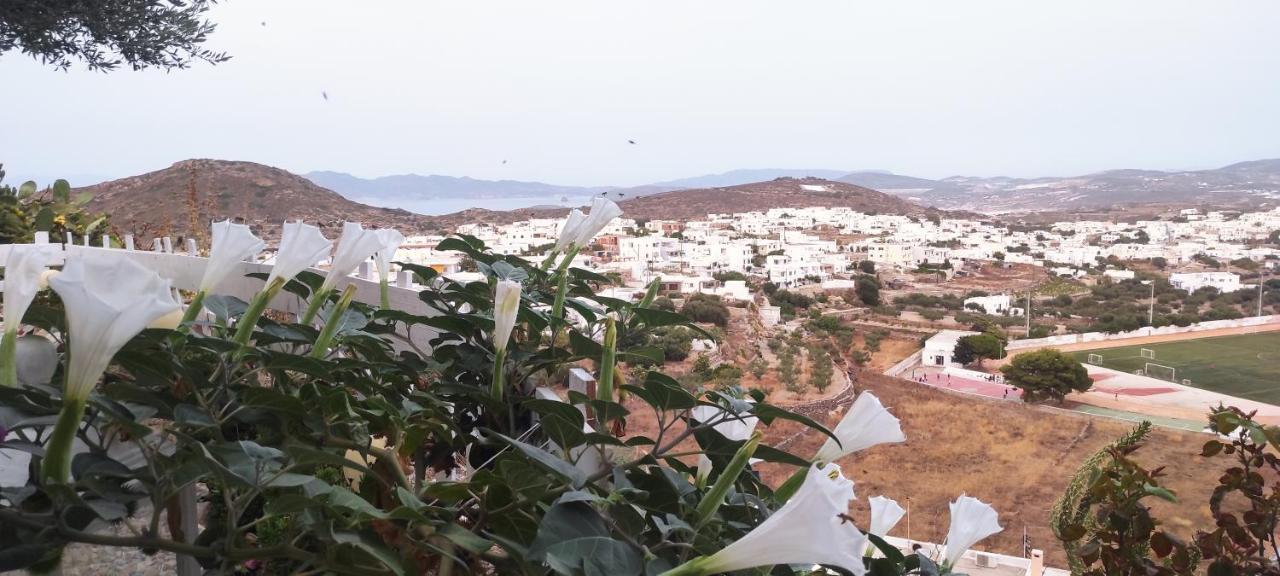 Prickly Pear House Hotel Plaka  ภายนอก รูปภาพ